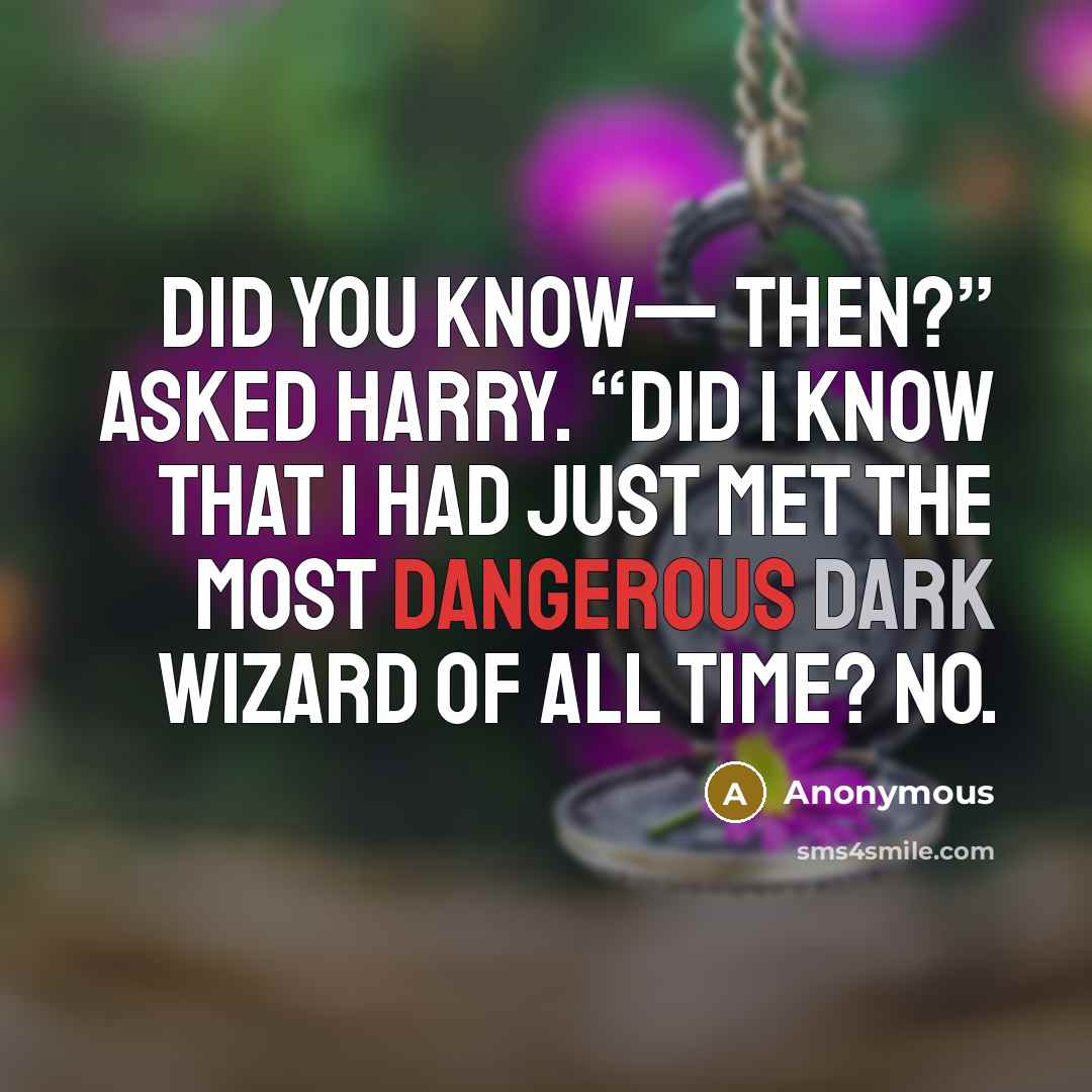 “Did you know— then?” asked Harry. “Did I know that I had just met the most dangerous Dark wizard of all time? No.” quote by Anonymous