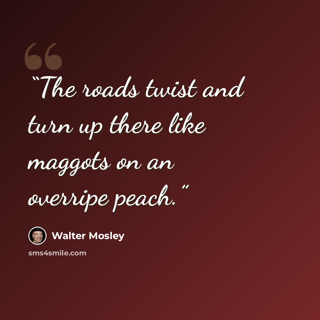“The roads twist and turn up there like maggots on an overripe peach.” quote by Walter Mosley