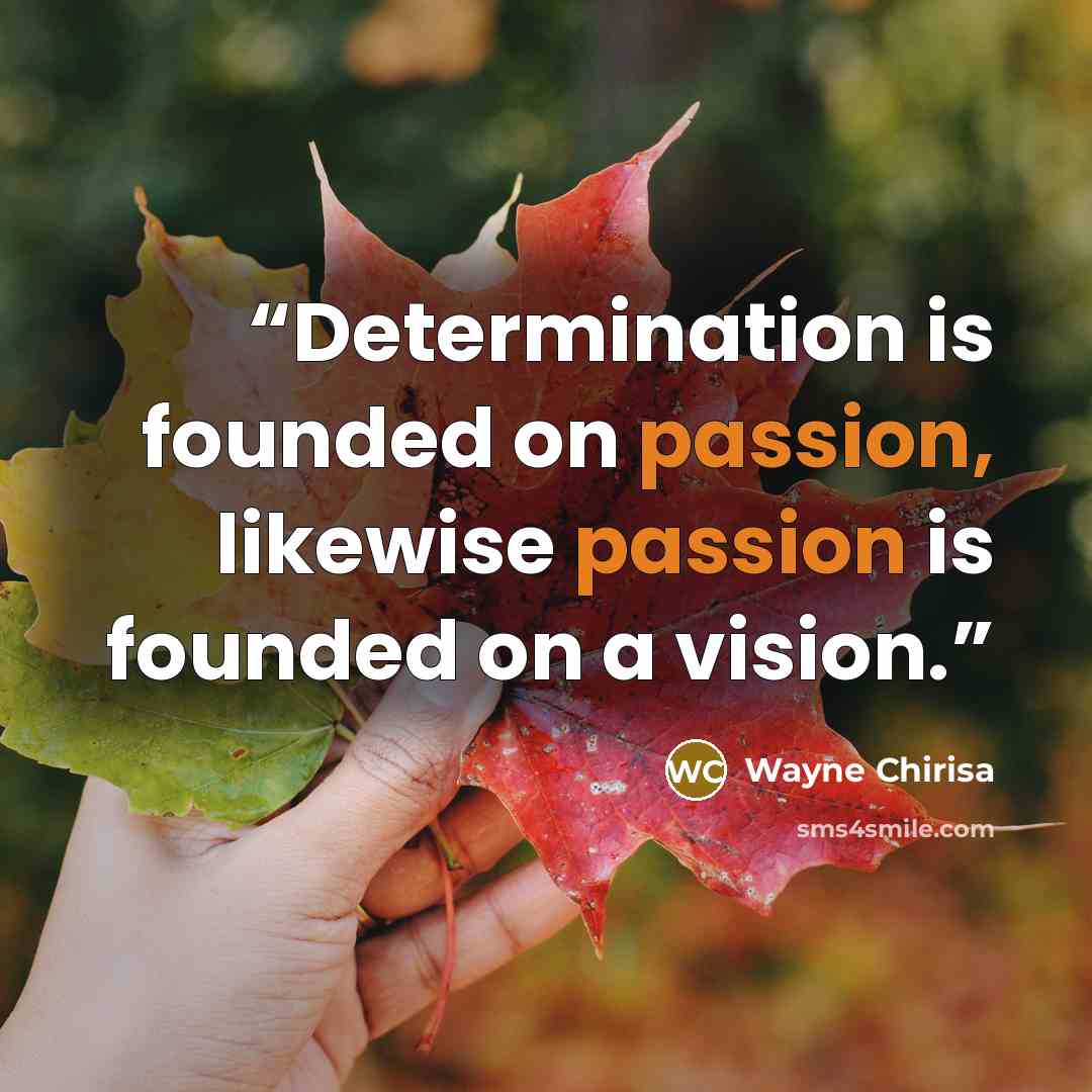 “Determination is founded on passion, likewise passion is founded on a vision.” quote by Wayne Chirisa
