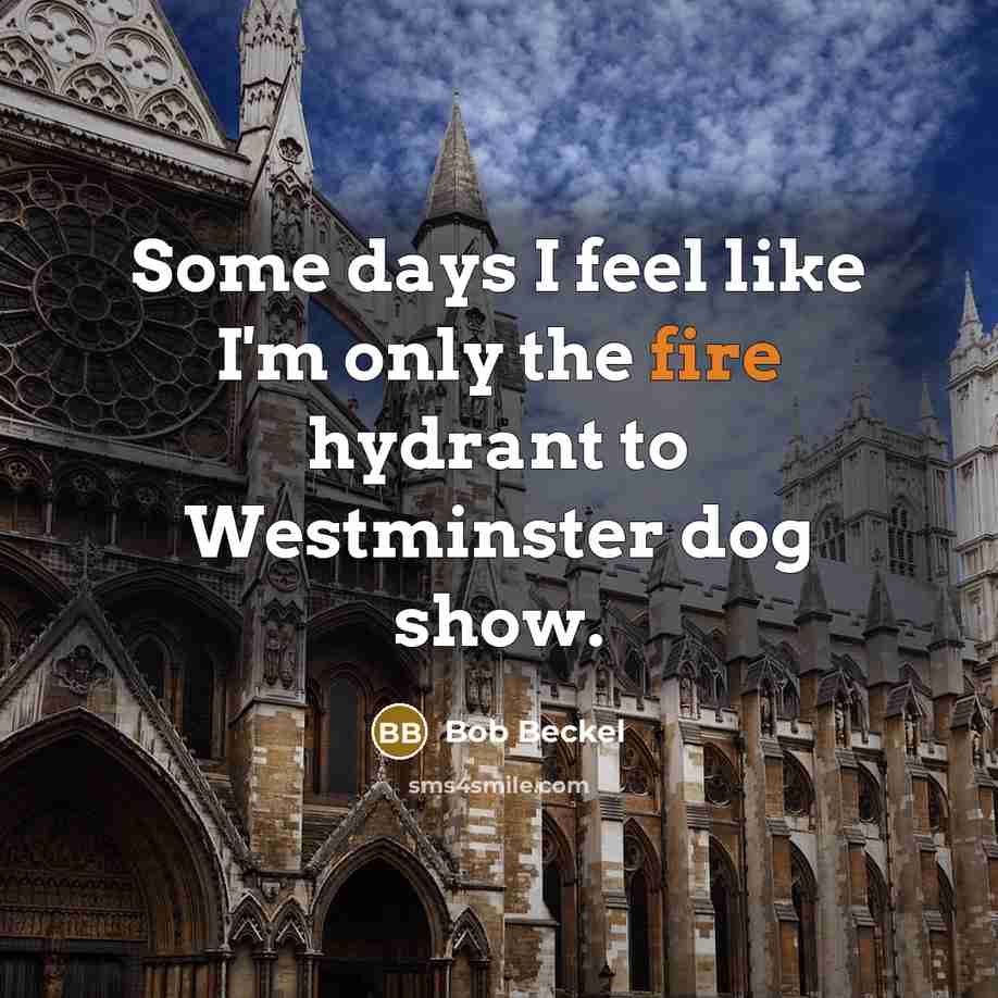 “Some days I feel like I'm only the fire hydrant to Westminster dog show.” quote by Bob Beckel
