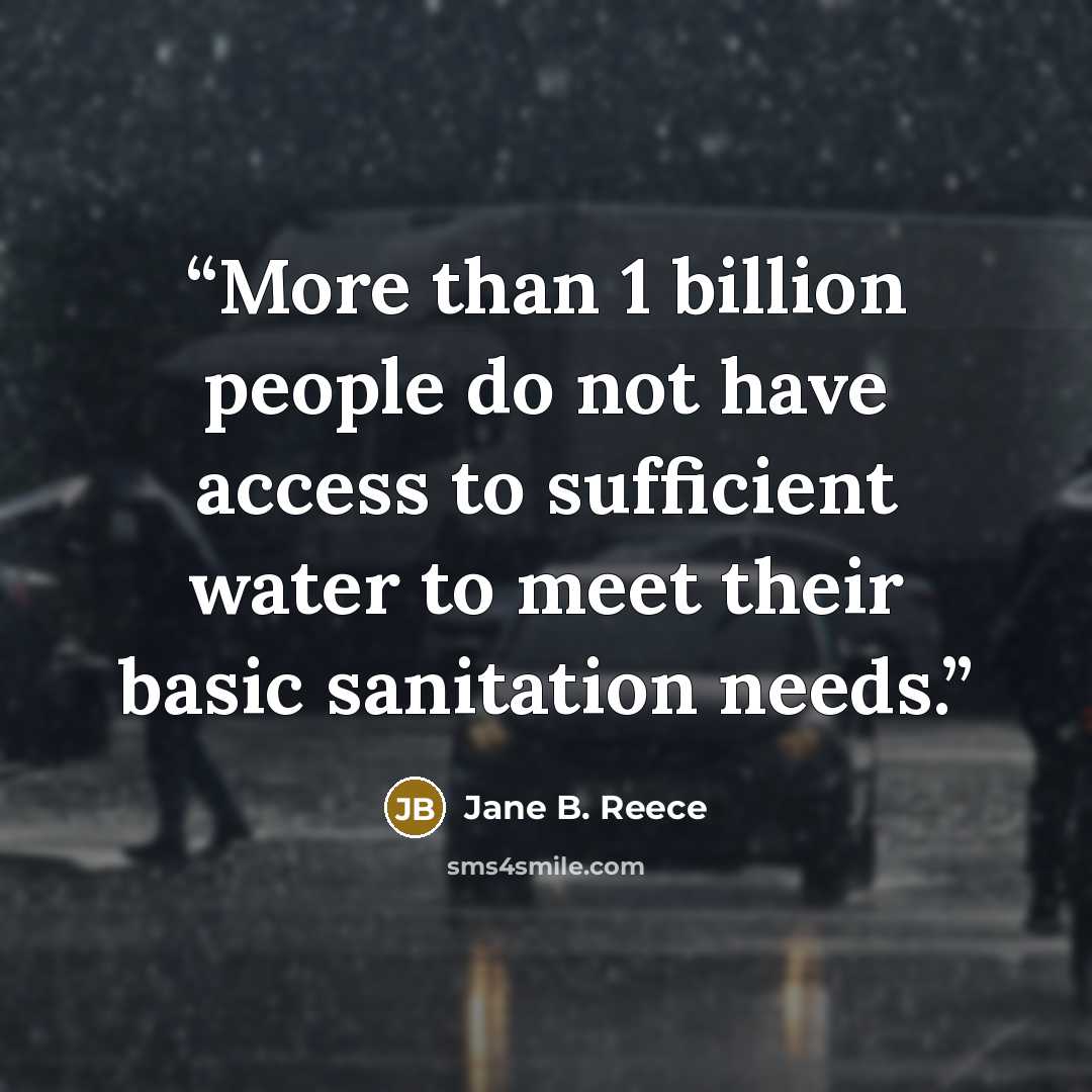 “More than 1 billion people do not have access to sufficient water to meet their basic sanitation needs.” quote by Jane B. Reece