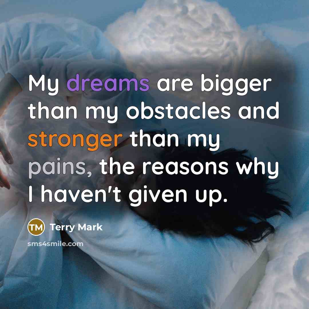 “My dreams are bigger than my obstacles and stronger than my pains, the reasons why I haven't given up.” quote by Terry Mark