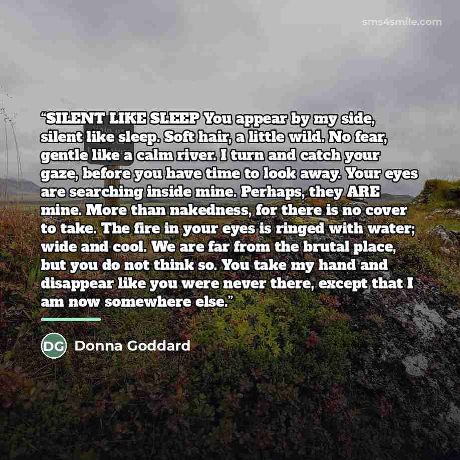 “SILENT LIKE SLEEP You appear by my side, silent like sleep. Soft hair, a little wild. No fear, gentle like a calm river. I turn and catch your gaze, before you have time to look away. Your eyes are searching inside mine. Perhaps, they ARE mine. More than nakedness, for there is no cover to take…” quote by Donna Goddard