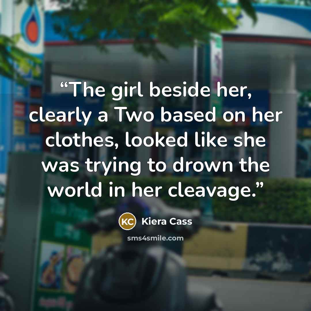 “The girl beside her, clearly a Two based on her clothes, looked like she was trying to drown the world in her cleavage.” quote by Kiera Cass