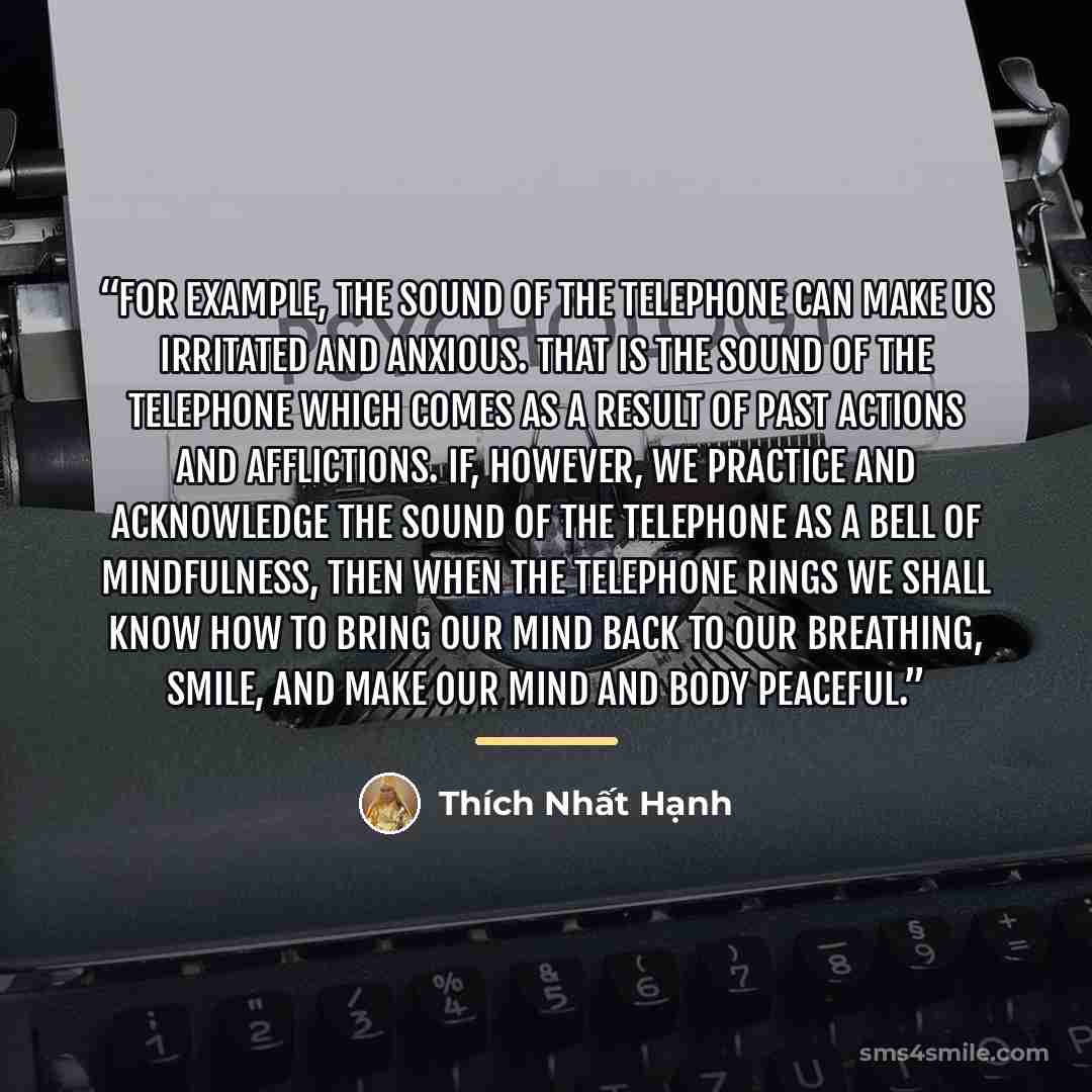 “For example, the sound of the telephone can make us irritated and anxious. That is the sound of the telephone which comes as a result of past actions and afflictions. If, however, we practice and acknowledge the sound of the telephone as a bell of mindfulness, then when the telephone rings we…” quote by Thích Nhất Hạnh