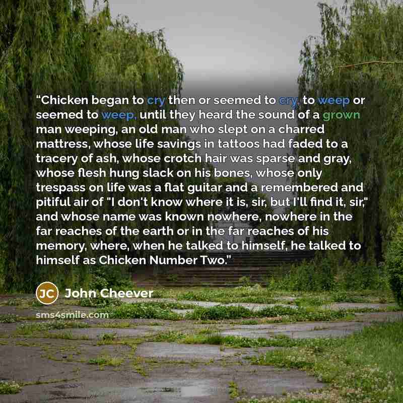 “Chicken began to cry then or seemed to cry, to weep or seemed to weep, until they heard the sound of a grown man weeping, an old man who slept on a charred mattress, whose life savings in tattoos had faded to a tracery of ash, whose crotch hair was sparse and gray, whose flesh hung slack on his…” quote by John Cheever