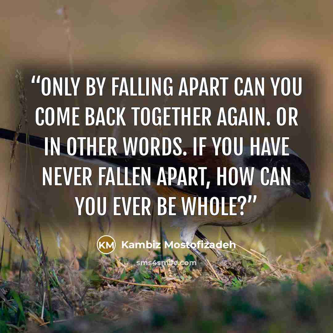 “Only by falling apart can you come back together again. Or in other words. If you have never fallen apart, how can you ever be whole?” quote by Kambiz Mostofizadeh