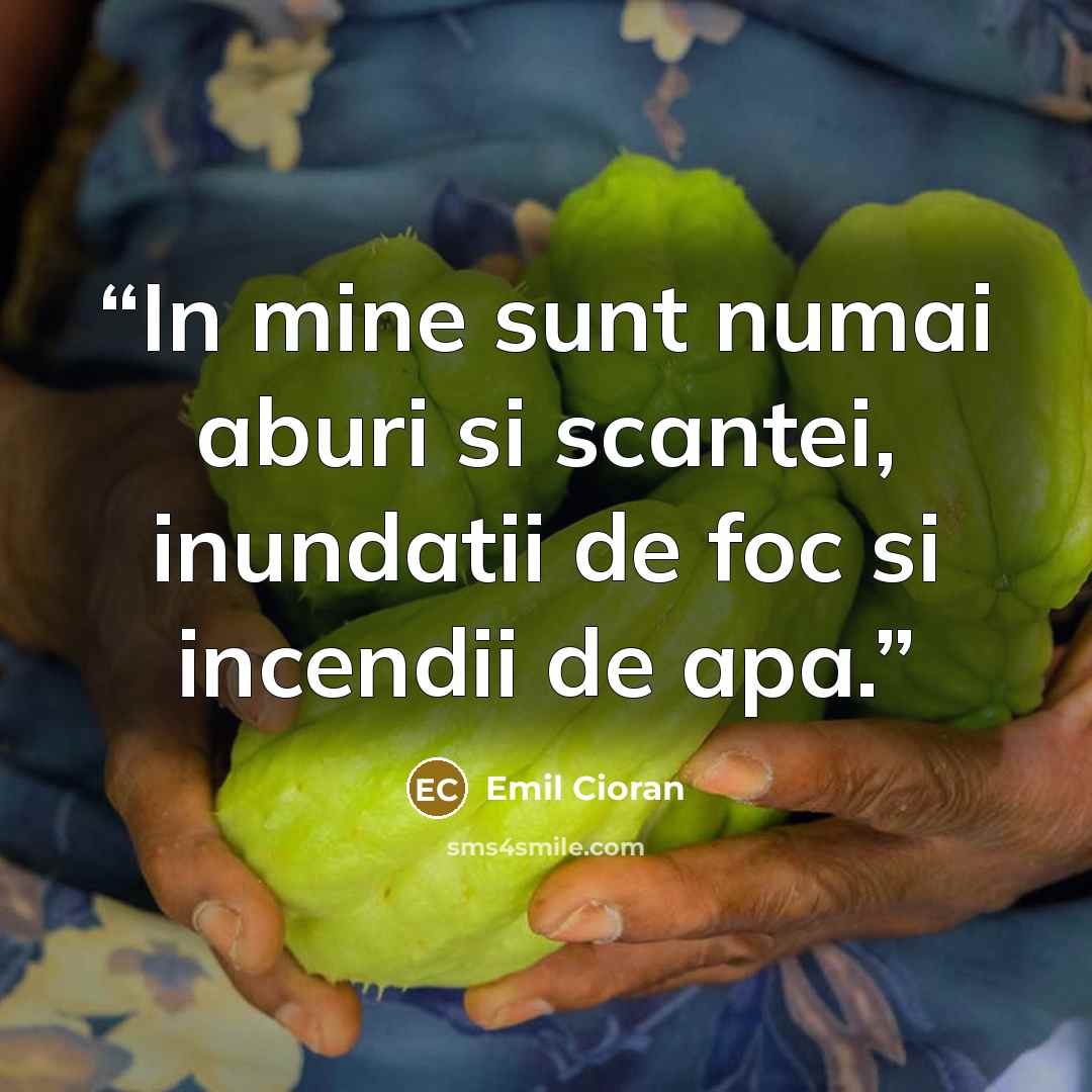 “In mine sunt numai aburi si scantei, inundatii de foc si incendii de apa.” quote by Emil Cioran