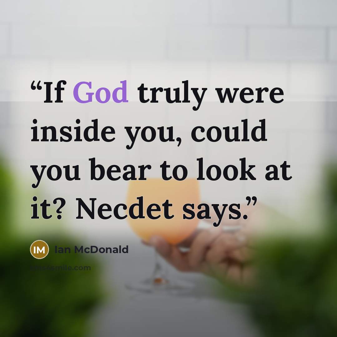 “If God truly were inside you, could you bear to look at it? Necdet says.” quote by Ian McDonald