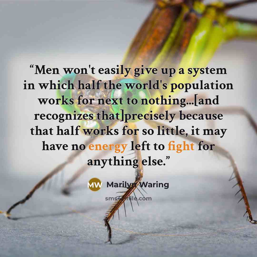 “Men won't easily give up a system in which half the world's population works for next to nothing...[and recognizes that]precisely because that half works for so little, it may have no energy left to fight for anything else.” quote by Marilyn Waring