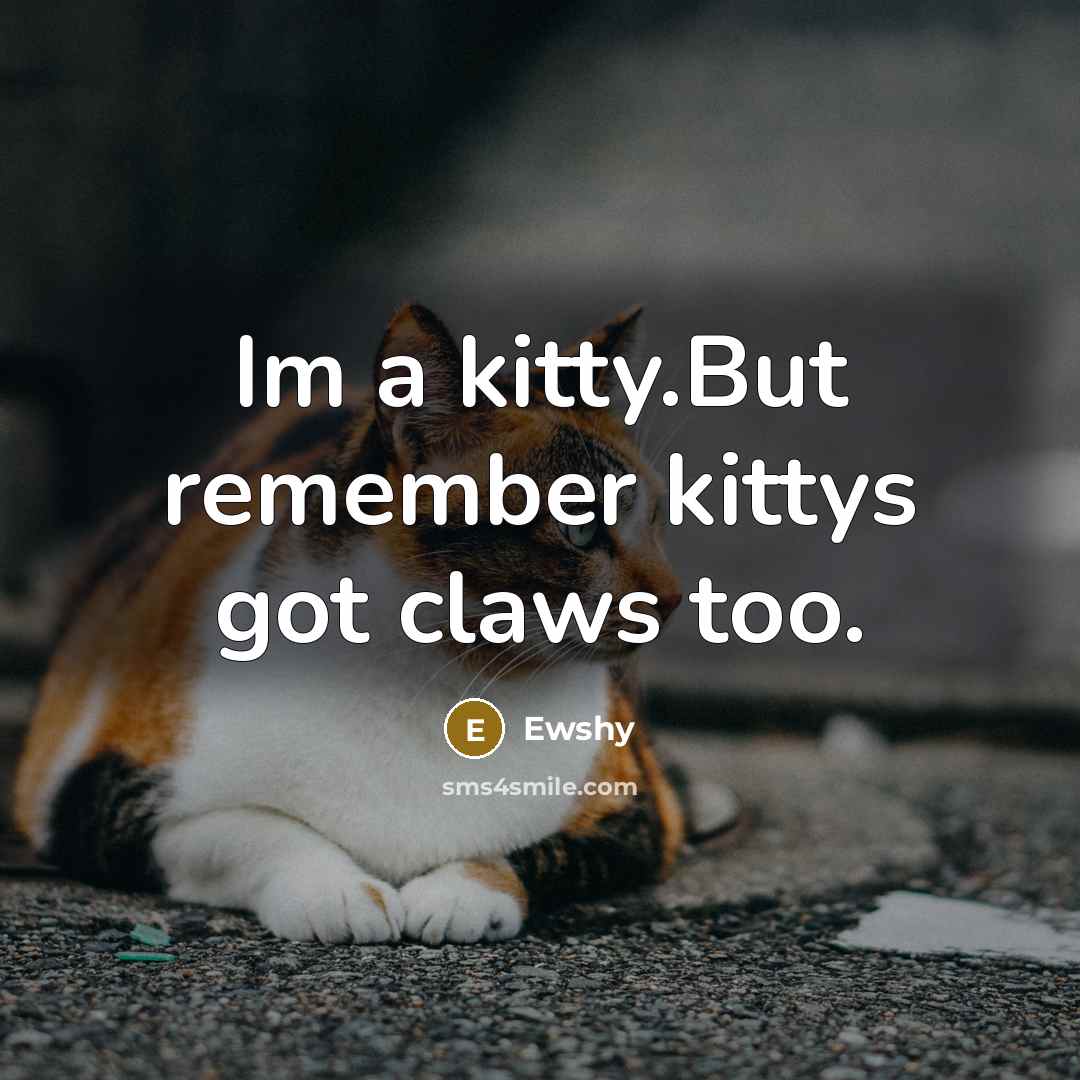 “Im a kitty.But remember kittys got claws too.” quote by Ewshy