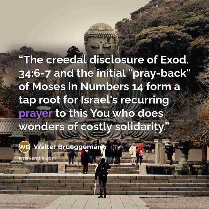 “The creedal disclosure of Exod. 34:6-7 and the initial "pray-back" of Moses in Numbers 14 form a tap root for Israel's recurring prayer to this You who does wonders of costly solidarity.” quote by Walter Brueggemann