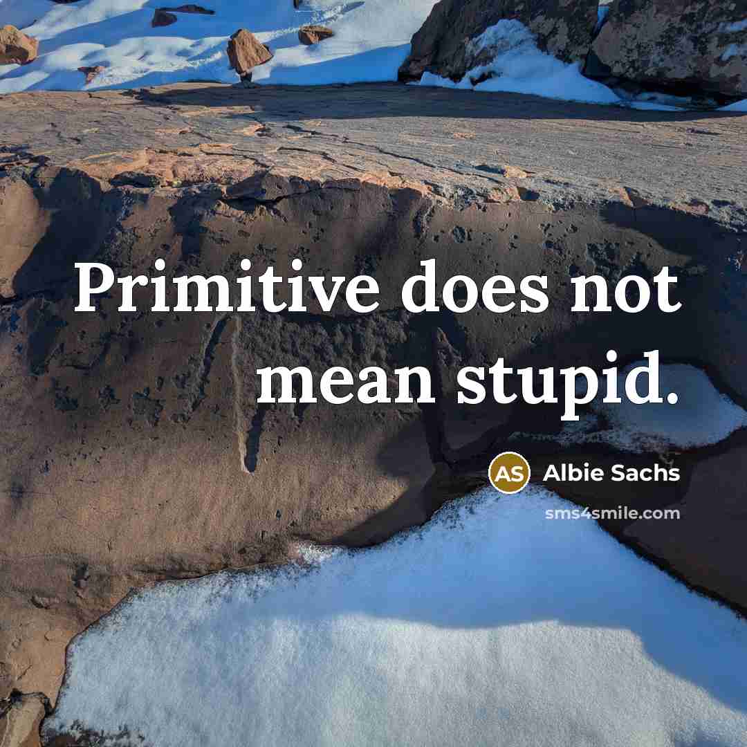 “Primitive does not mean stupid.” quote by Albie Sachs