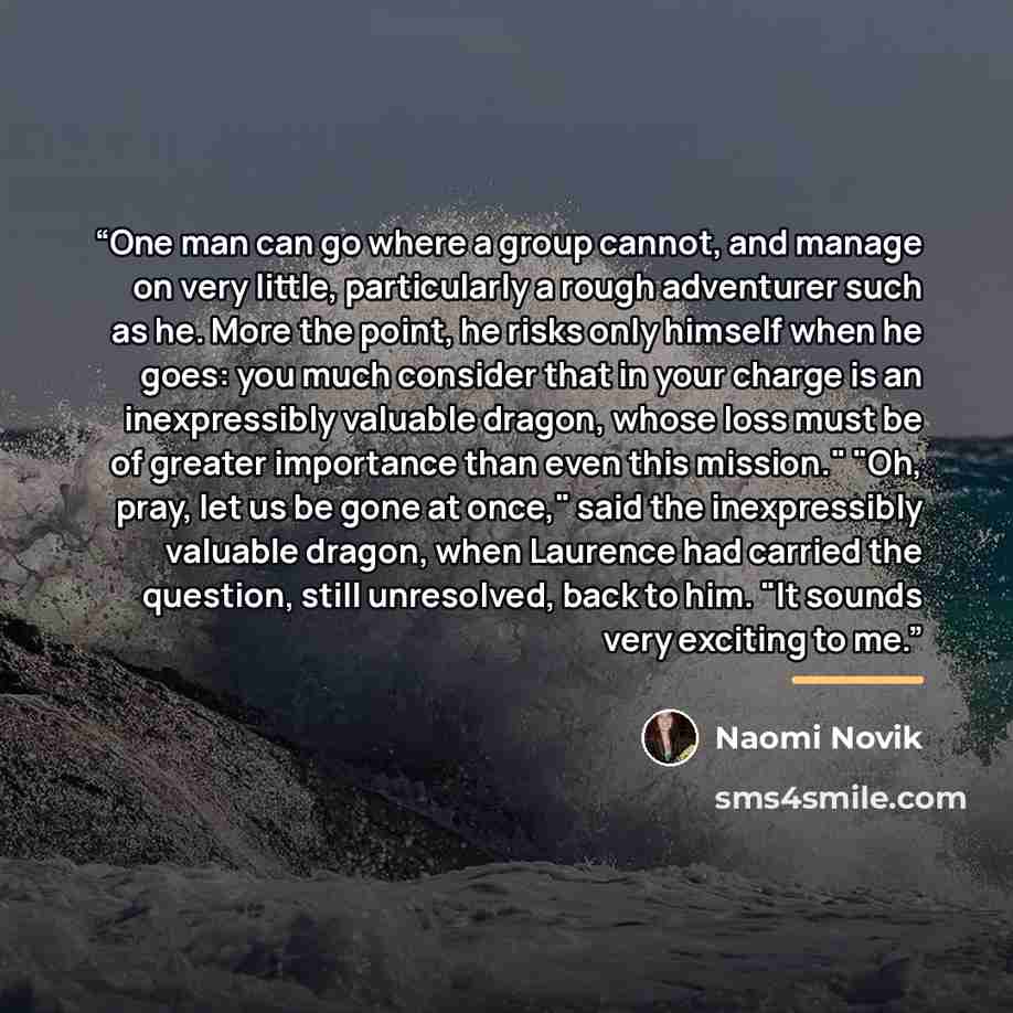 “One man can go where a group cannot, and manage on very little, particularly a rough adventurer such as he. More the point, he risks only himself when he goes: you much consider that in your charge is an inexpressibly valuable dragon, whose loss must be of greater importance than even this…” quote by Naomi Novik