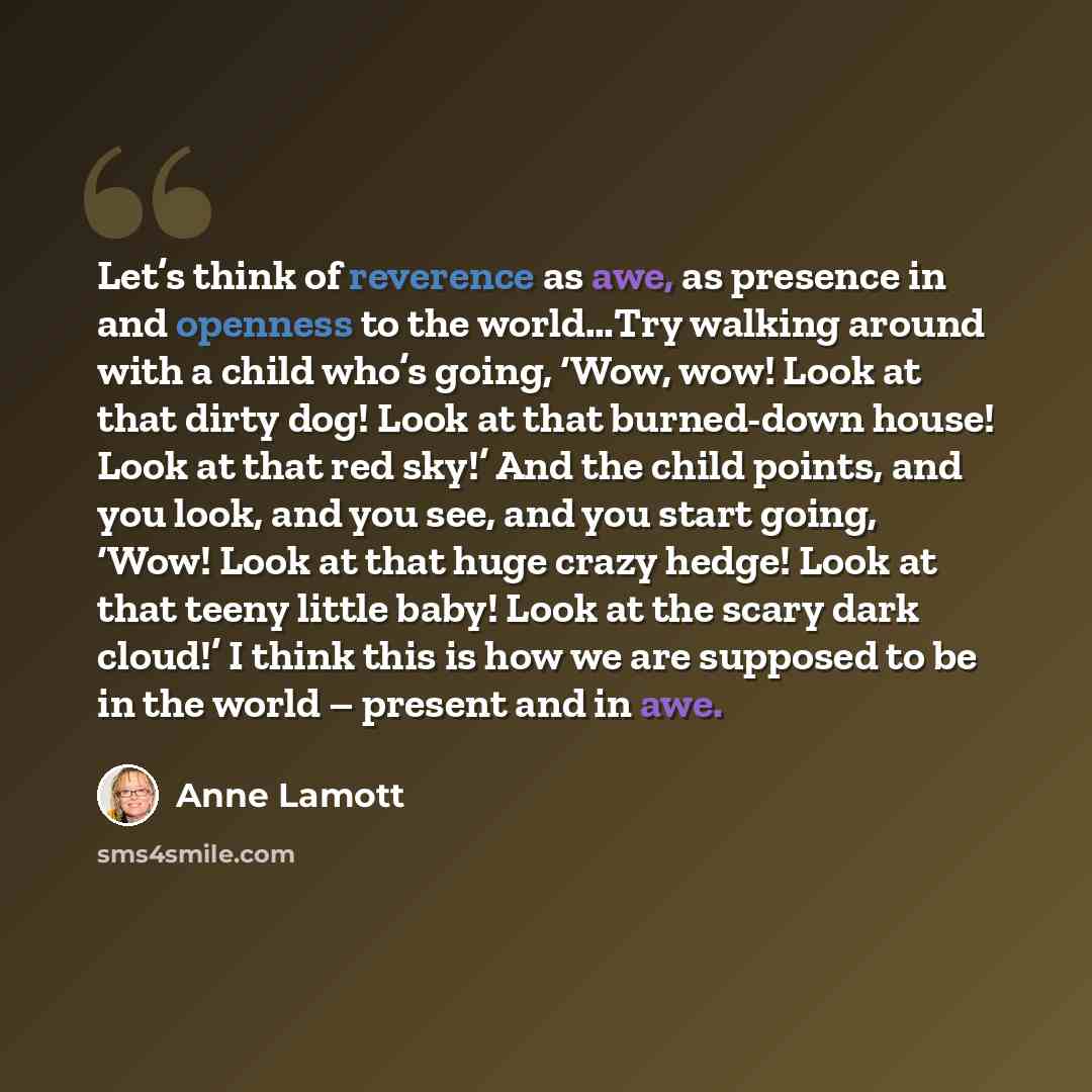 “Let’s think of reverence as awe, as presence in and openness to the world…Try walking around with a child who’s going, ‘Wow, wow! Look at that dirty dog! Look at that burned-down house! Look at that red sky!’ And the child points, and you look, and you see, and you start going, ‘Wow! Look at that…” quote by Anne Lamott