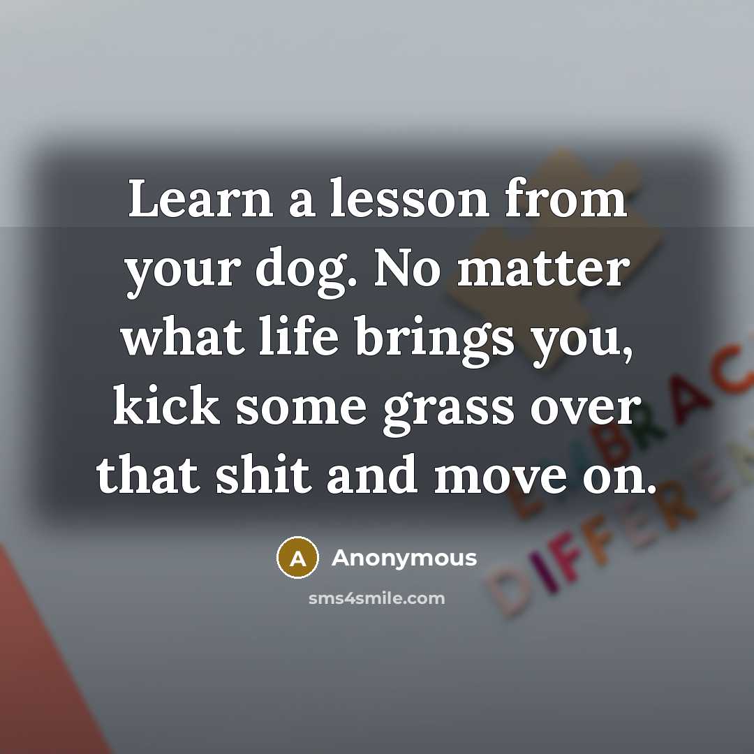 “Learn a lesson from your dog. No matter what life brings you, kick some grass over that shit and move on.” quote by Anonymous