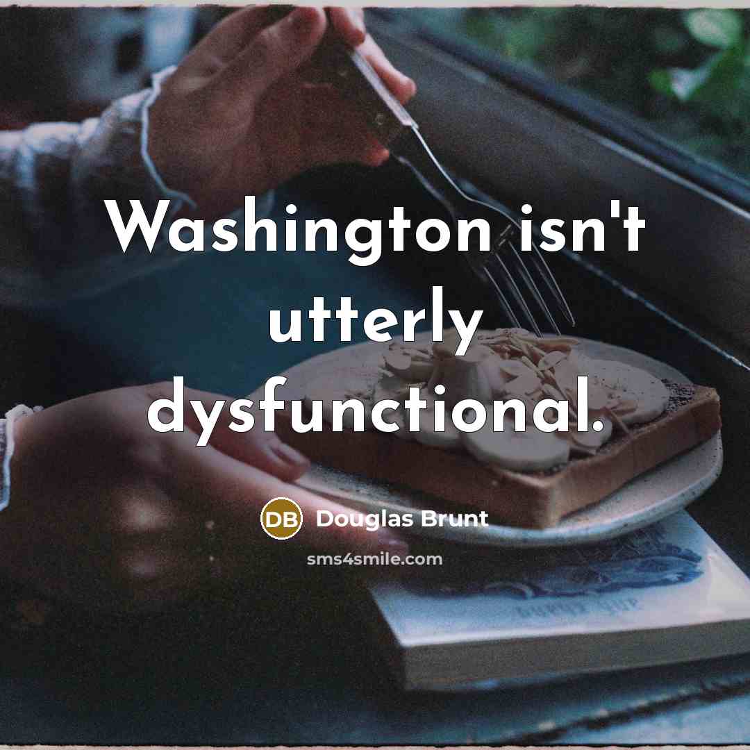 “Washington isn't utterly dysfunctional.” quote by Douglas Brunt