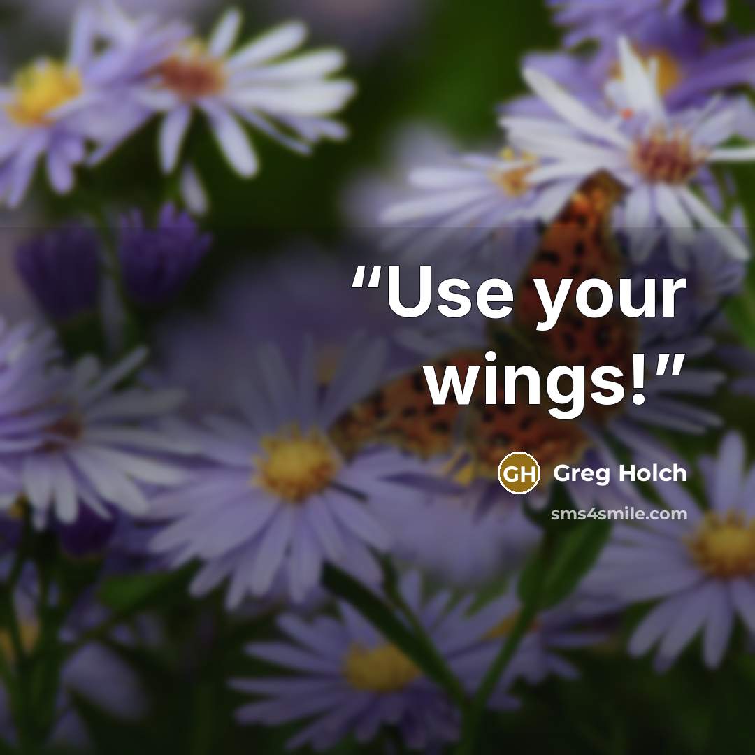 “Use your wings!” quote by Greg Holch