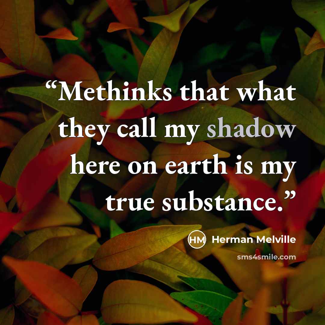 “Methinks that what they call my shadow here on earth is my true substance.” quote by Herman Melville