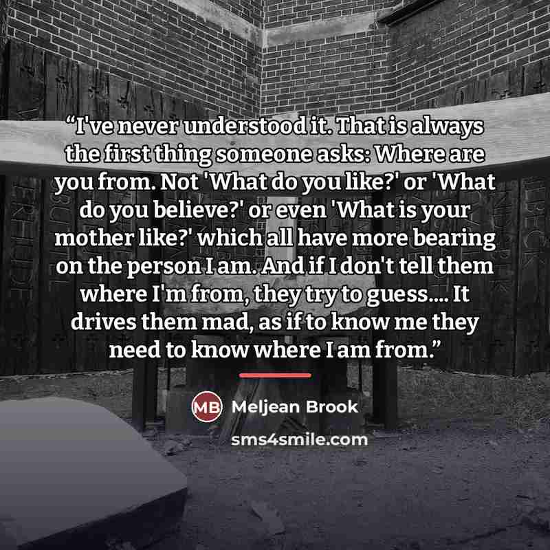 “I've never understood it. That is always the first thing someone asks: Where are you from. Not 'What do you like?' or 'What do you believe?' or even 'What is your mother like?' which all have more bearing on the person I am. And if I don't tell them where I'm from, they try to guess… It drives…” quote by Meljean Brook