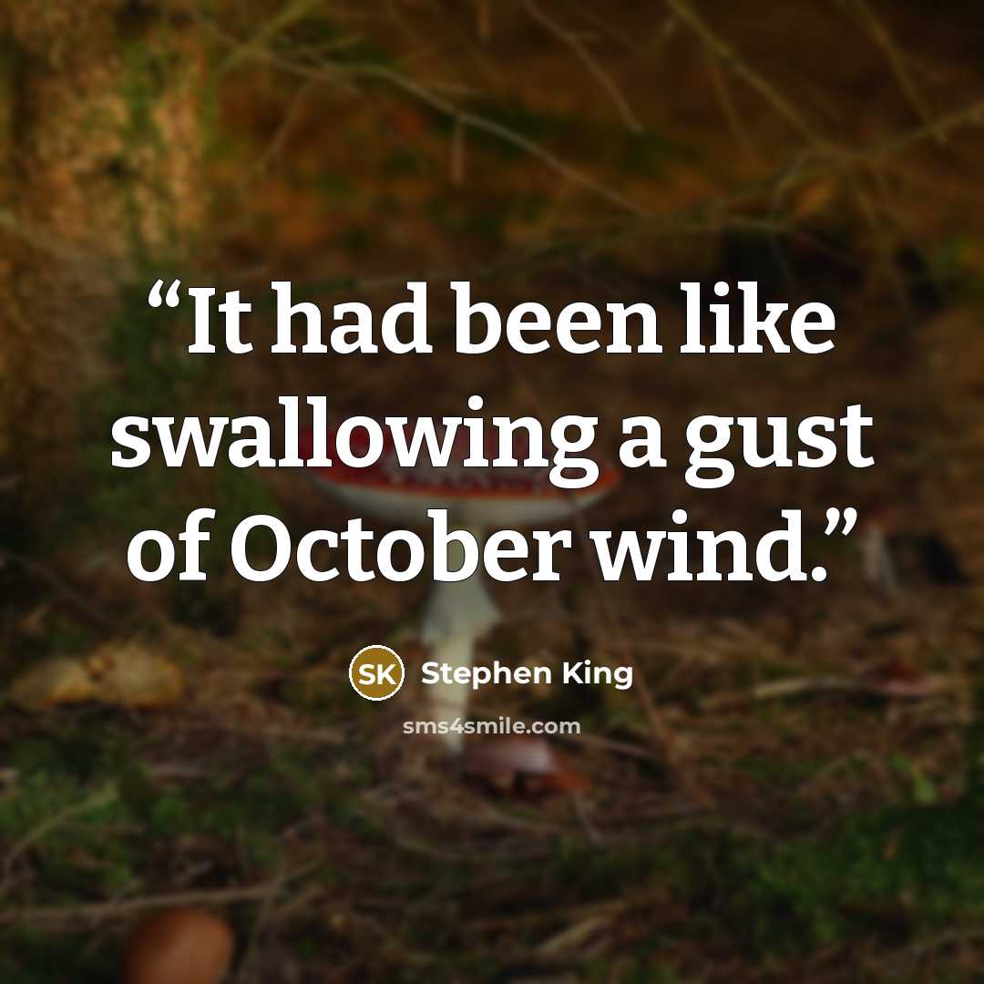 “It had been like swallowing a gust of October wind.” quote by Stephen King