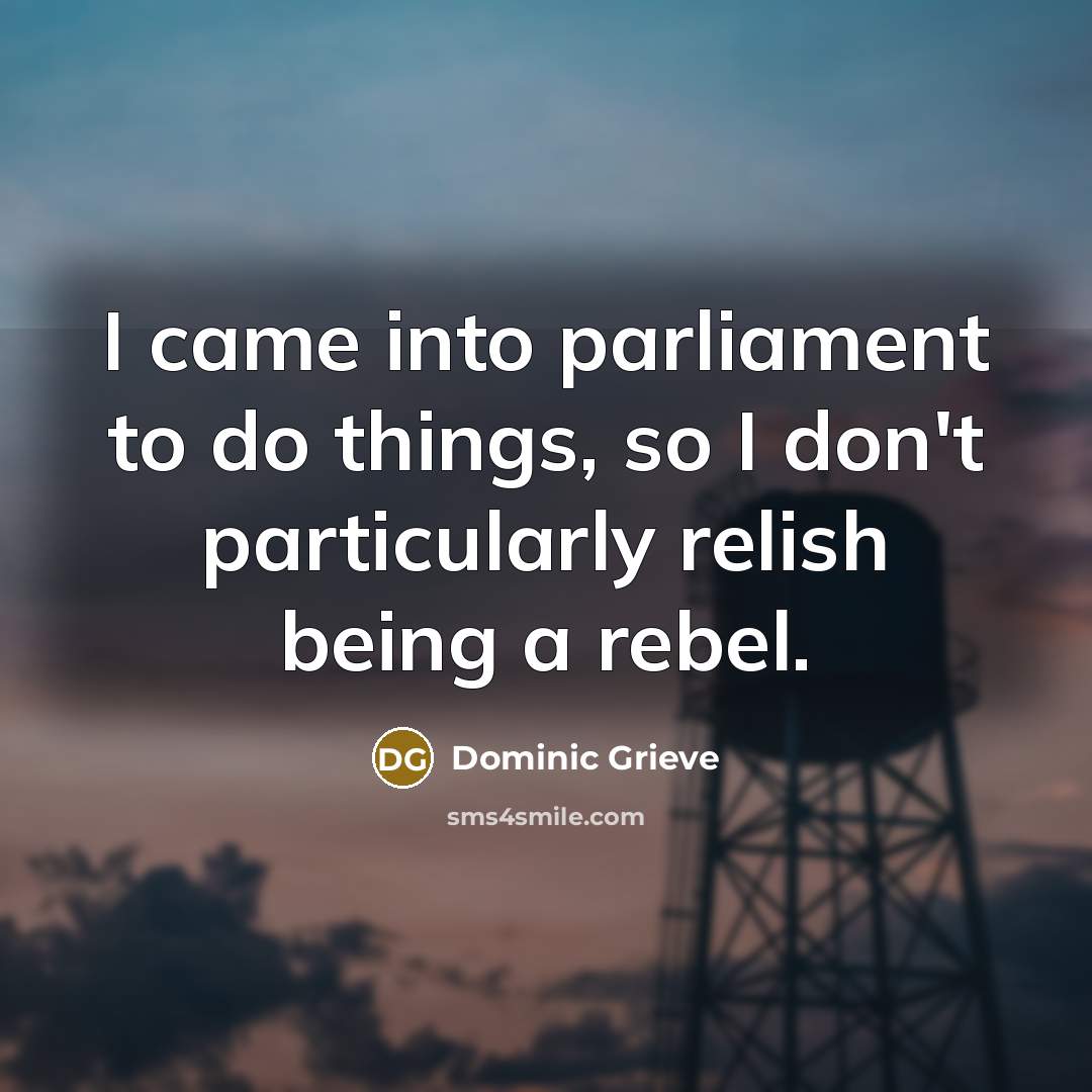 “I came into parliament to do things, so I don't particularly relish being a rebel.” quote by Dominic Grieve
