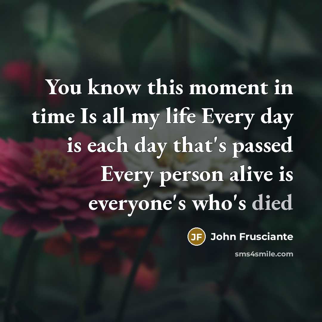 “You know this moment in time Is all my life Every day is each day that's passed Every person alive is everyone's who's died” quote by John Frusciante