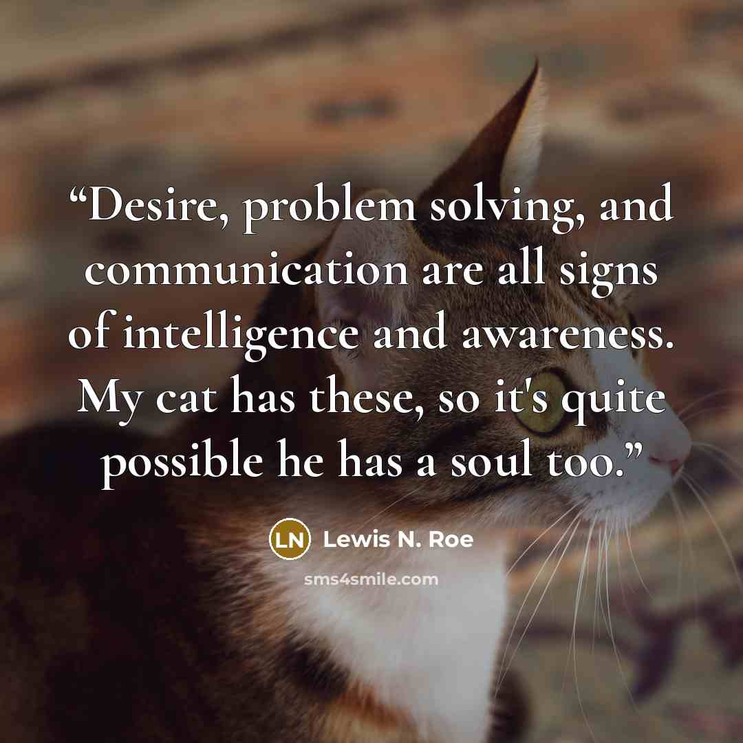“Desire, problem solving, and communication are all signs of intelligence and awareness. My cat has these, so it's quite possible he has a soul too.” quote by Lewis N. Roe