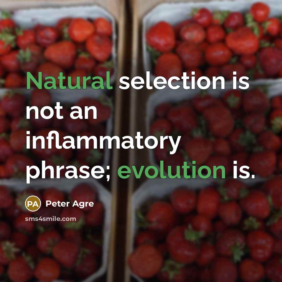 “Natural selection is not an inflammatory phrase; evolution is.” quote by Peter Agre