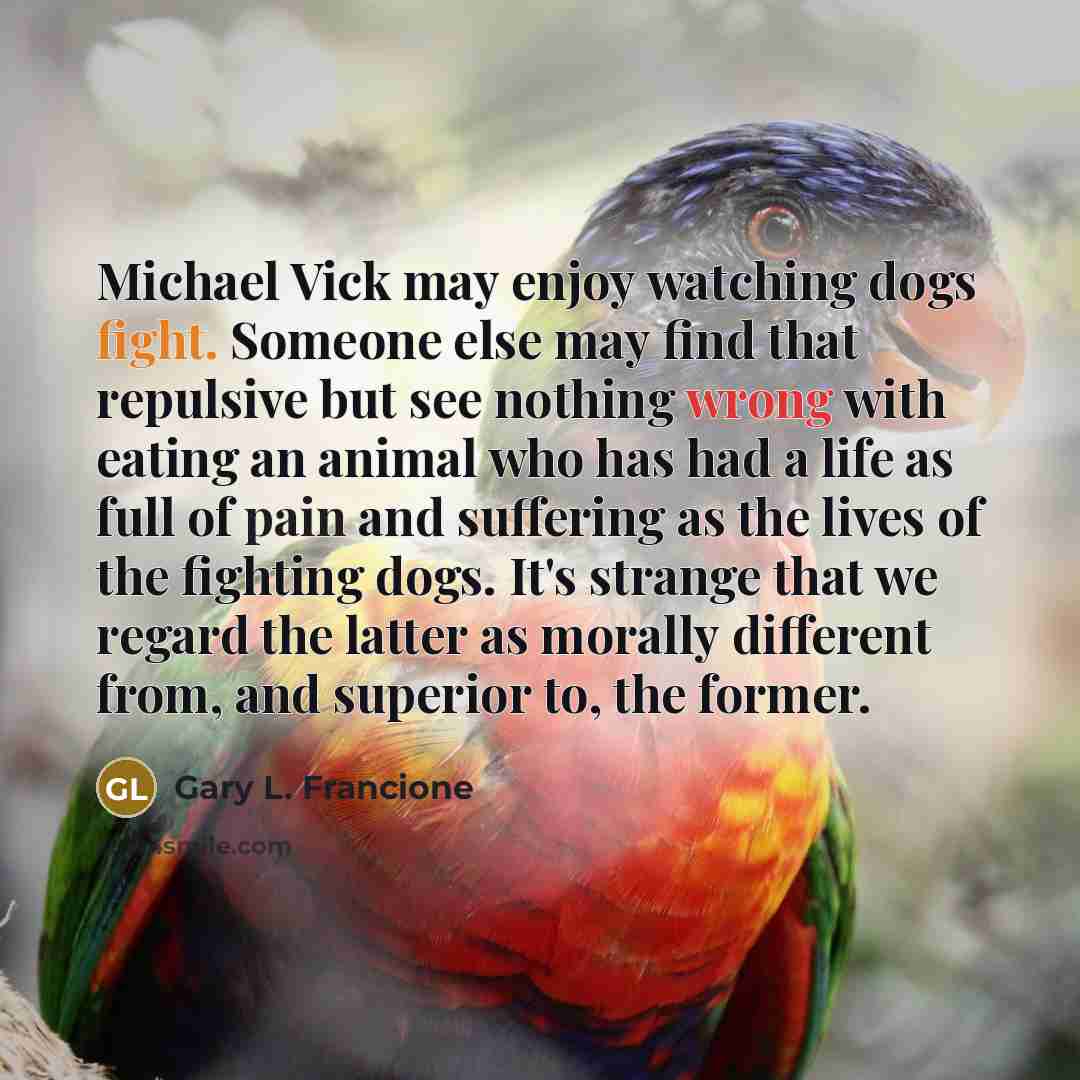 “Michael Vick may enjoy watching dogs fight. Someone else may find that repulsive but see nothing wrong with eating an animal who has had a life as full of pain and suffering as the lives of the fighting dogs. It's strange that we regard the latter as morally different from, and superior to, the…” quote by Gary L. Francione