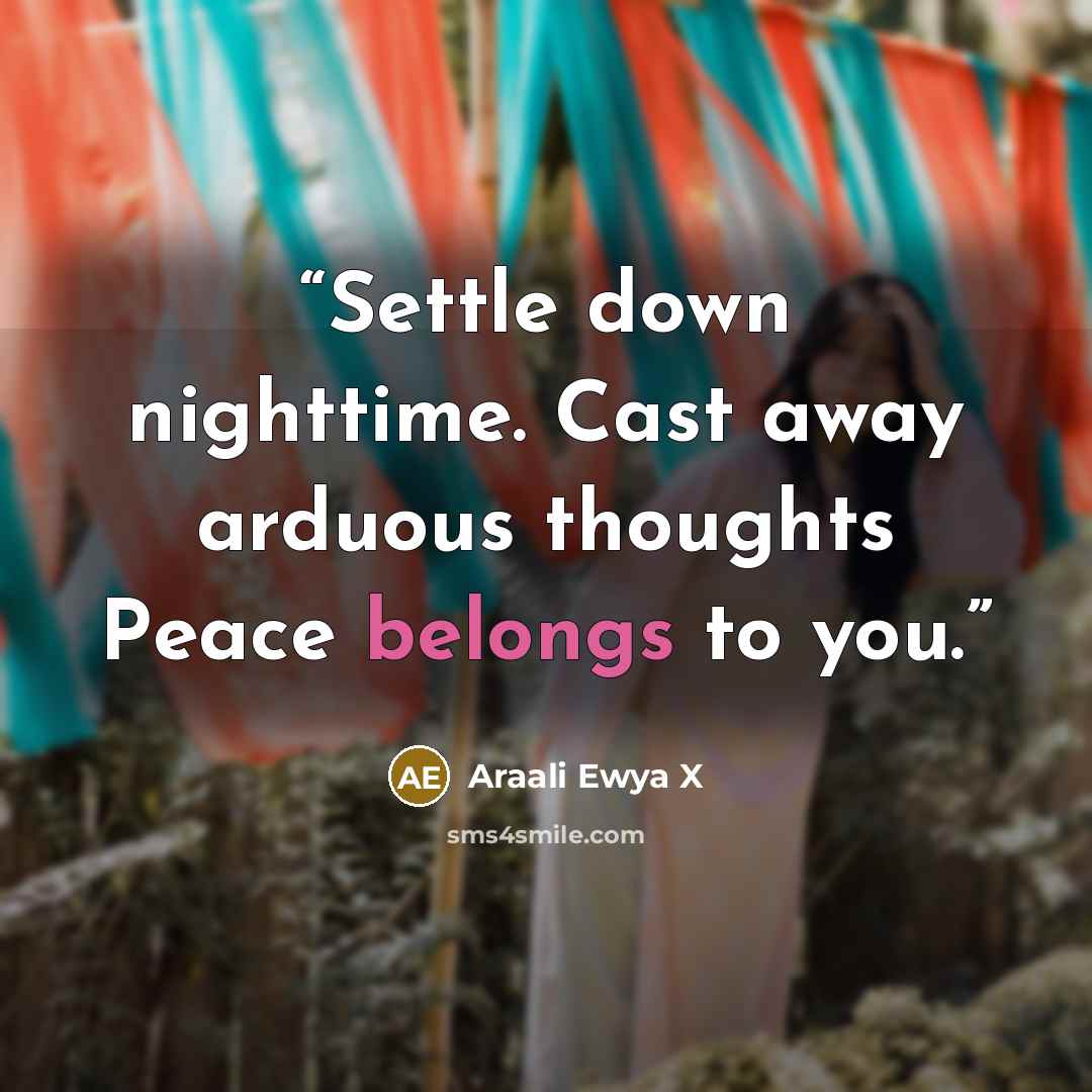 “Settle down nighttime. Cast away arduous thoughts Peace belongs to you.” quote by Araali Ewya X