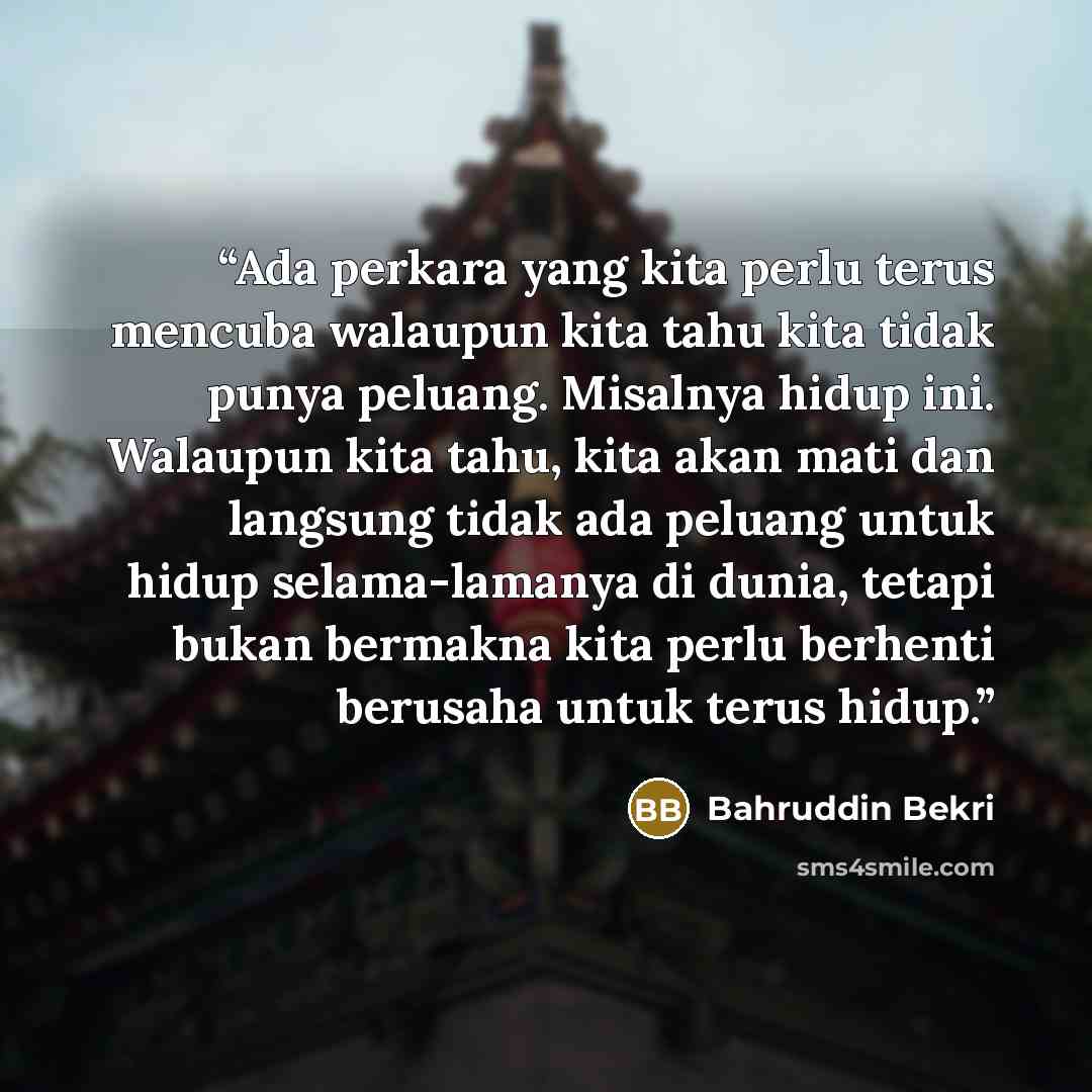 “Ada perkara yang kita perlu terus mencuba walaupun kita tahu kita tidak punya peluang. Misalnya hidup ini. Walaupun kita tahu, kita akan mati dan langsung tidak ada peluang untuk hidup selama-lamanya di dunia, tetapi bukan bermakna kita perlu berhenti berusaha untuk terus hidup.” quote by Bahruddin Bekri