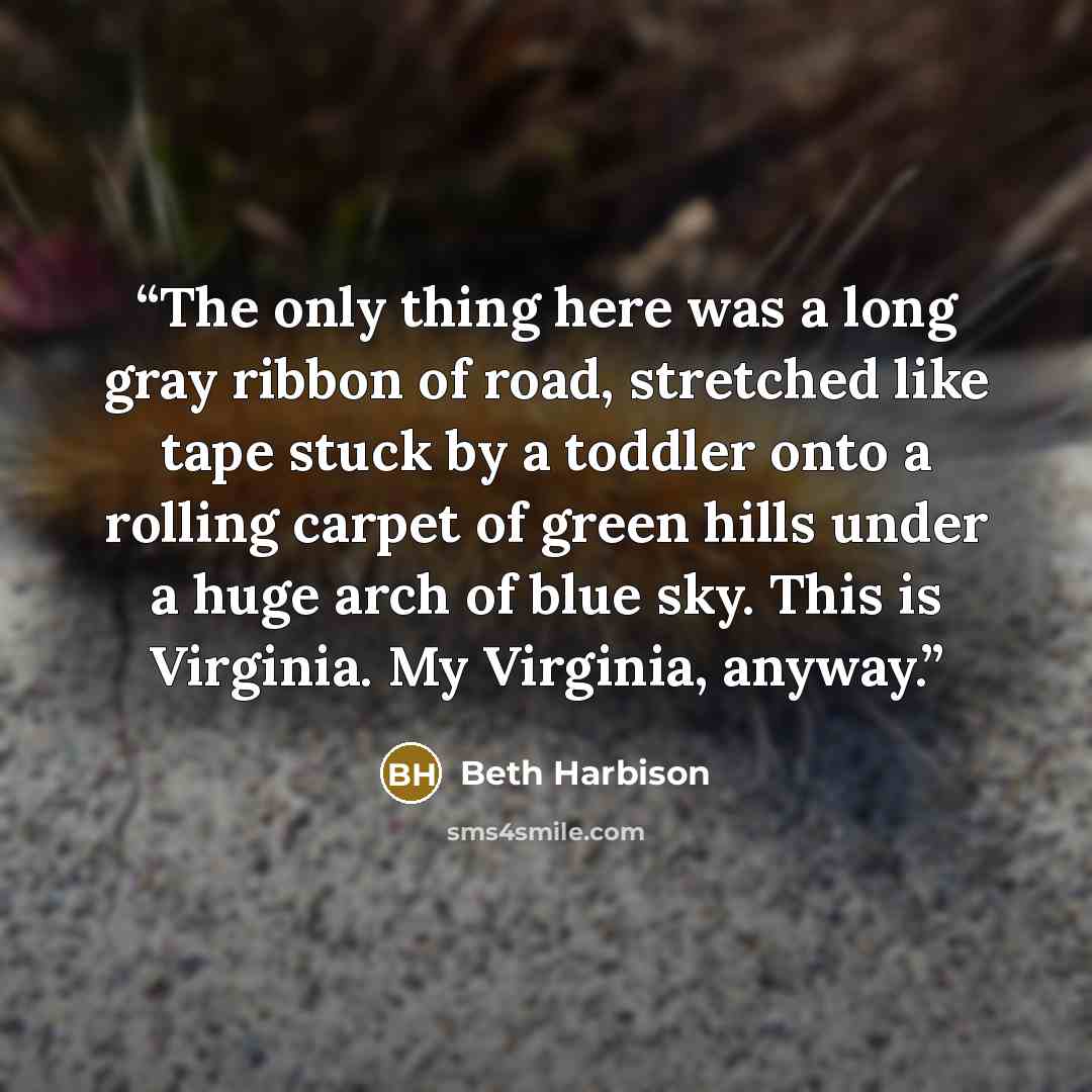 “The only thing here was a long gray ribbon of road, stretched like tape stuck by a toddler onto a rolling carpet of green hills under a huge arch of blue sky. This is Virginia. My Virginia, anyway.” quote by Beth Harbison