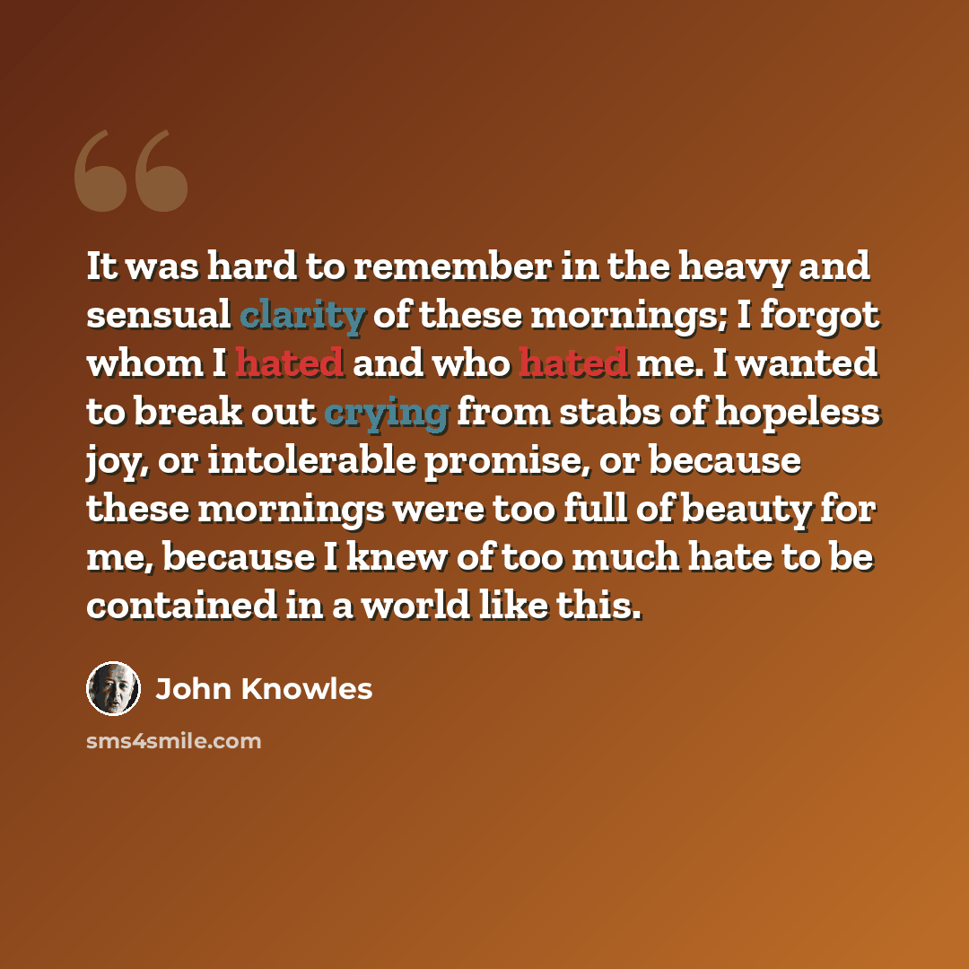 “It was hard to remember in the heavy and sensual clarity of these mornings; I forgot whom I hated and who hated me. I wanted to break out crying from stabs of hopeless joy, or intolerable promise, or because these mornings were too full of beauty for me, because I knew of too much hate to be…” quote by John Knowles