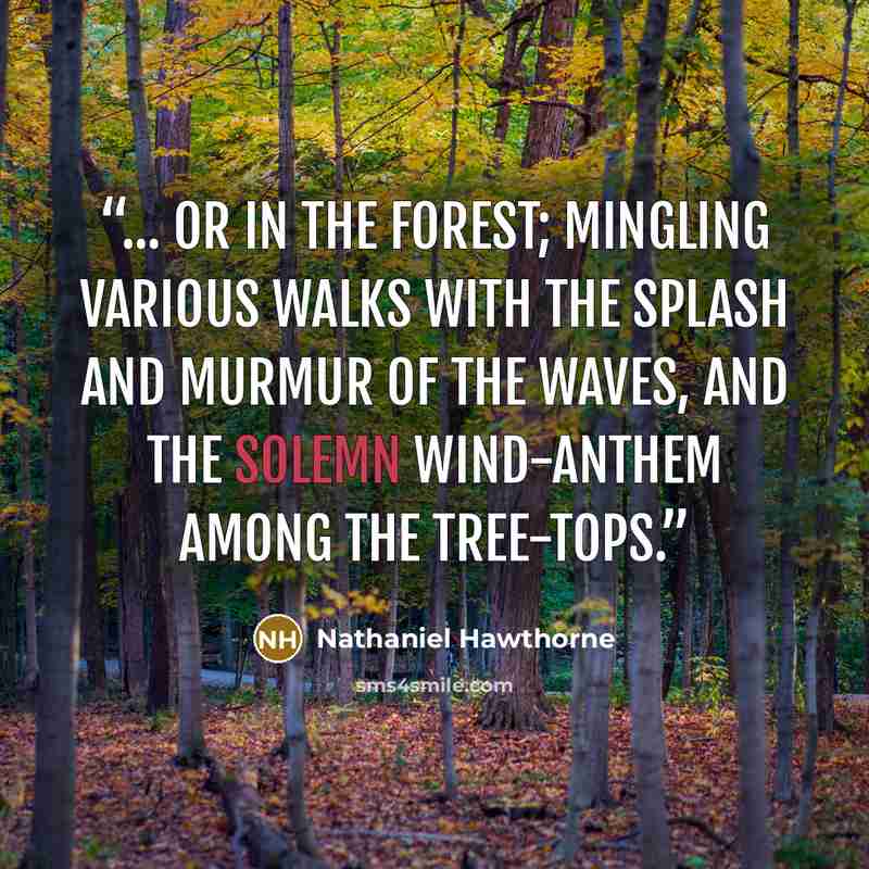 “... or in the forest; mingling various walks with the splash and murmur of the waves, and the solemn wind-anthem among the tree-tops.” quote by Nathaniel Hawthorne