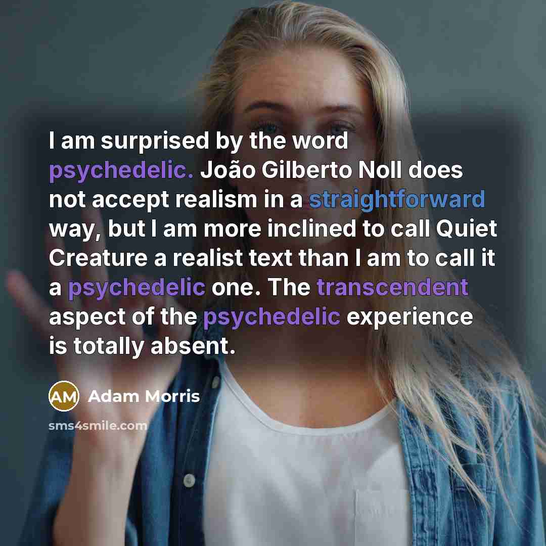 “I am surprised by the word psychedelic. João Gilberto Noll does not accept realism in a straightforward way, but I am more inclined to call Quiet Creature a realist text than I am to call it a psychedelic one. The transcendent aspect of the psychedelic experience is totally absent.” quote by Adam Morris