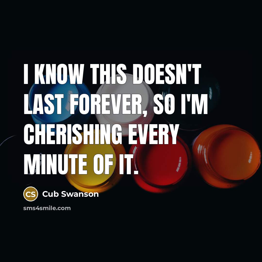 “I know this doesn't last forever, so I'm cherishing every minute of it.” quote by Cub Swanson