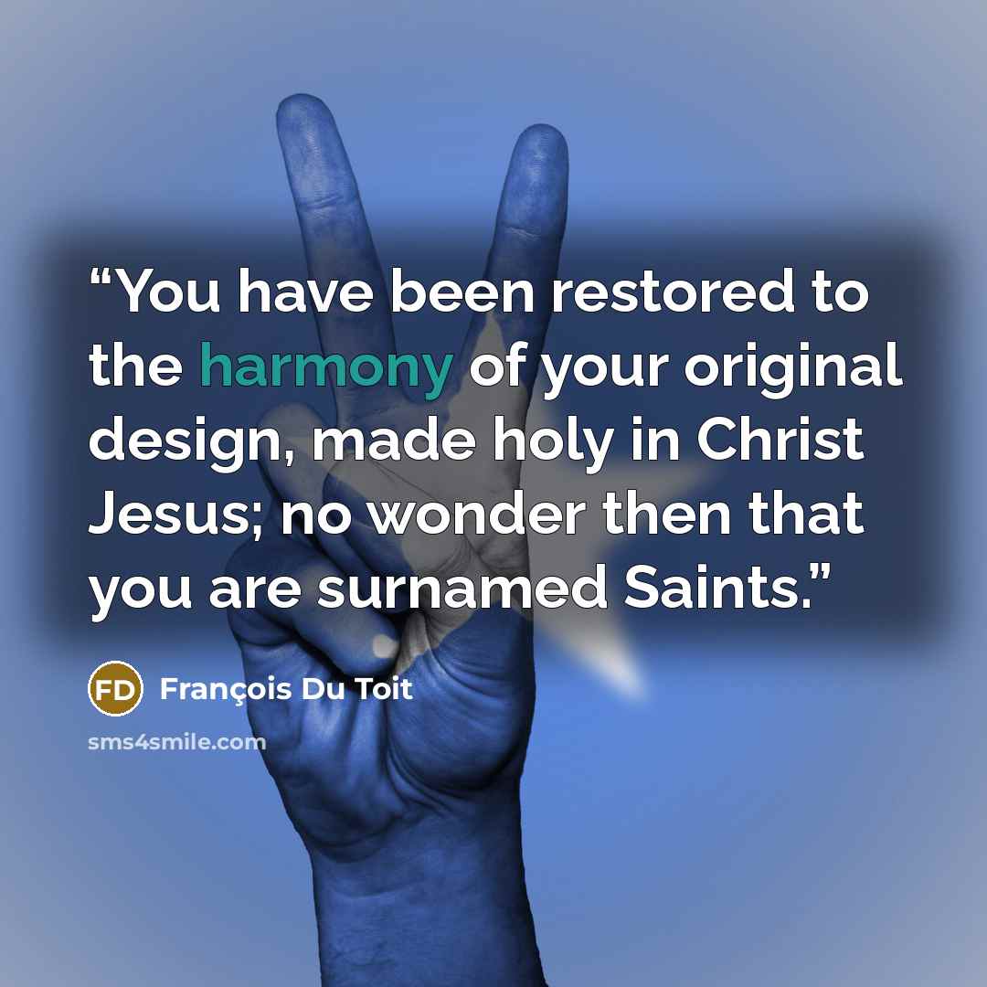 “You have been restored to the harmony of your original design, made holy in Christ Jesus; no wonder then that you are surnamed Saints.” quote by François Du Toit