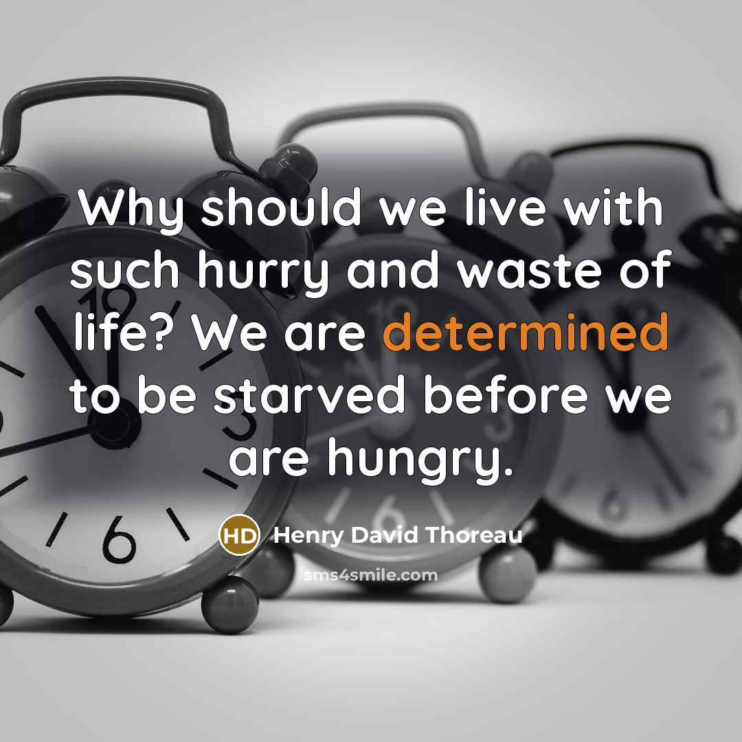 “Why should we live with such hurry and waste of life? We are determined to be starved before we are hungry.” quote by Henry David Thoreau