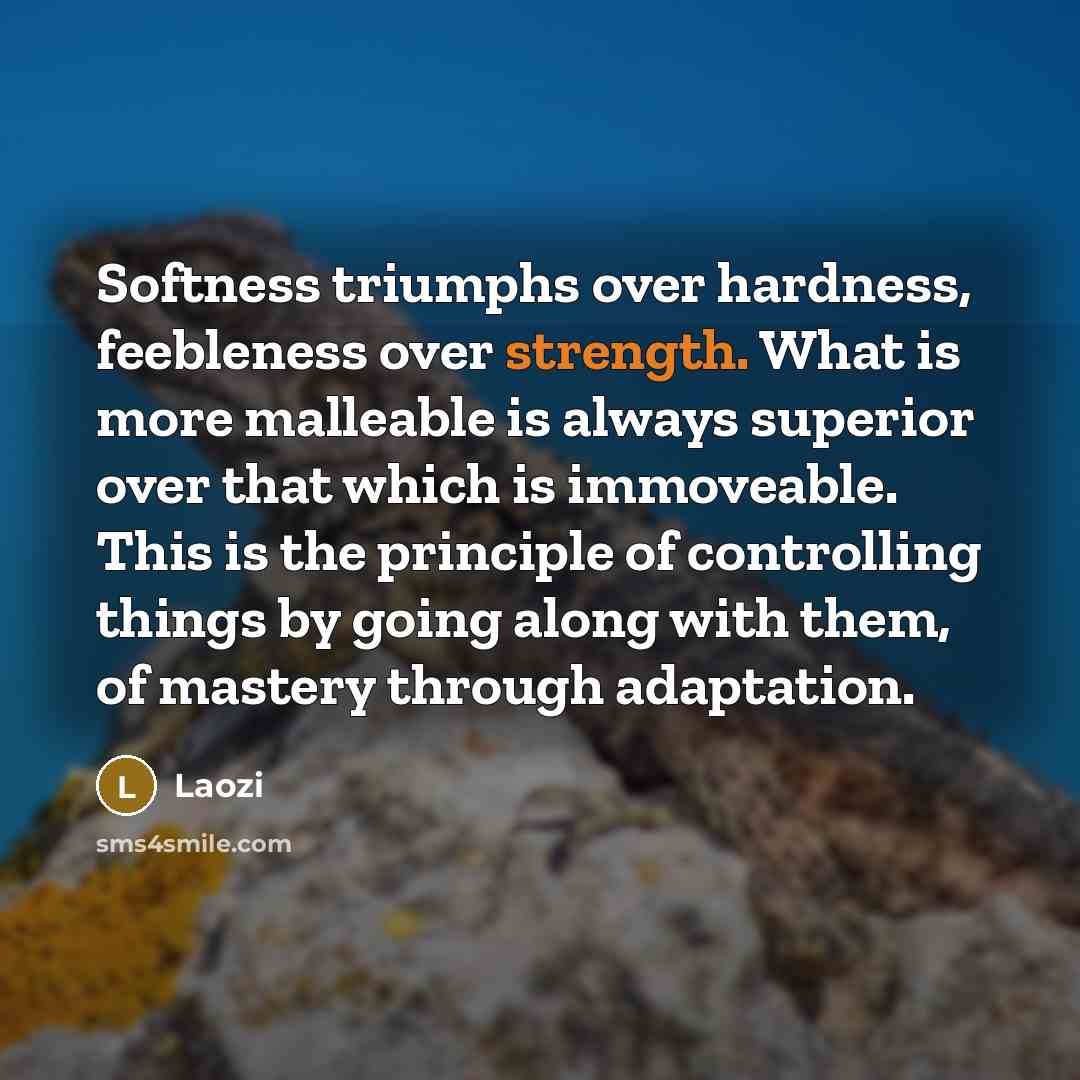“Softness triumphs over hardness, feebleness over strength. What is more malleable is always superior over that which is immoveable. This is the principle of controlling things by going along with them, of mastery through adaptation.” quote by Laozi