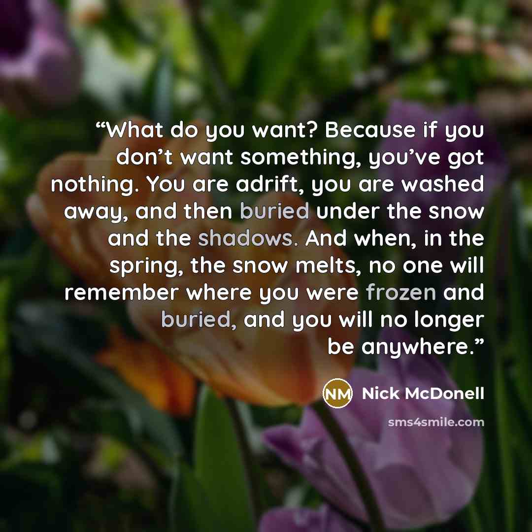 “What do you want? Because if you don’t want something, you’ve got nothing. You are adrift, you are washed away, and then buried under the snow and the shadows. And when, in the spring, the snow melts, no one will remember where you were frozen and buried, and you will no longer be anywhere.” quote by Nick McDonell