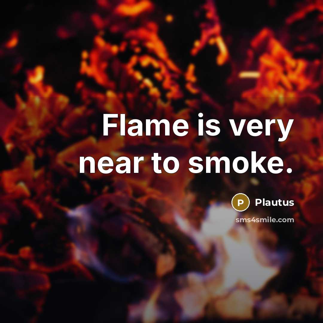 “Flame is very near to smoke.” quote by Plautus