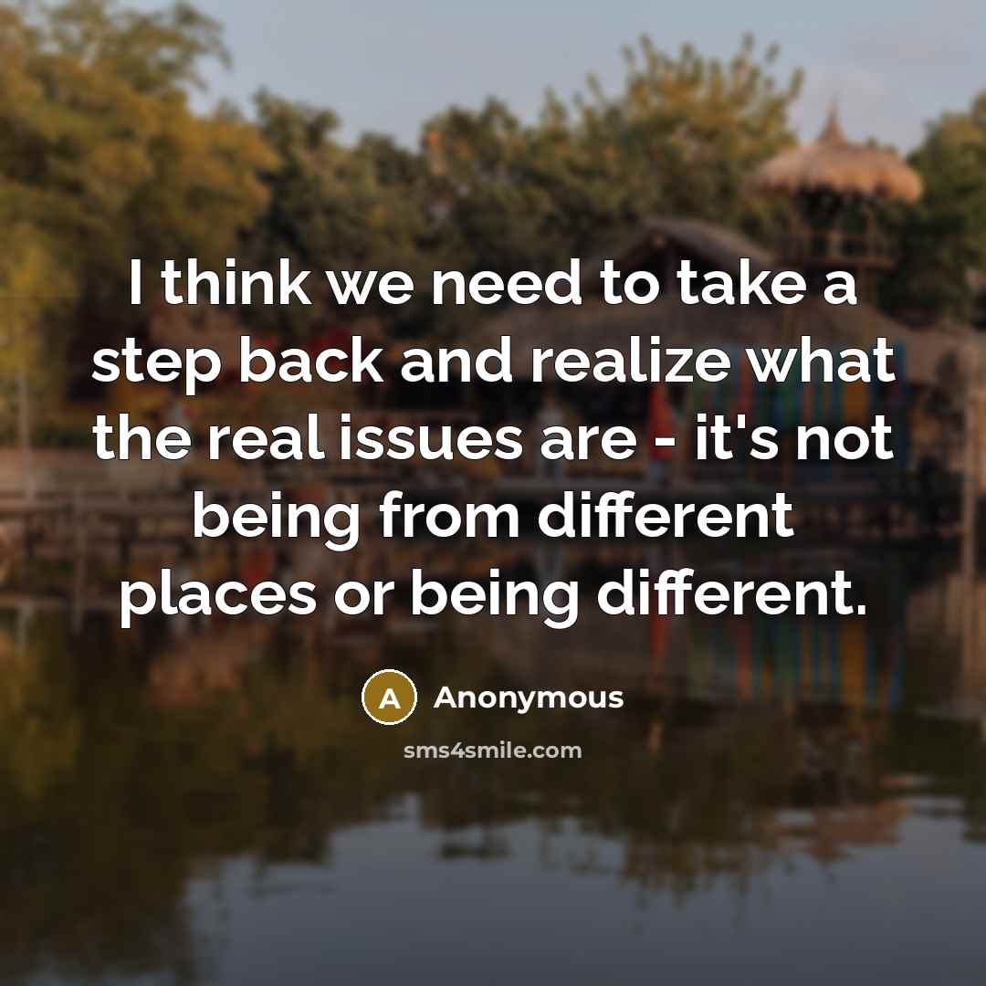 “I think we need to take a step back and realize what the real issues are - it's not being from different places or being different.” quote by Anonymous