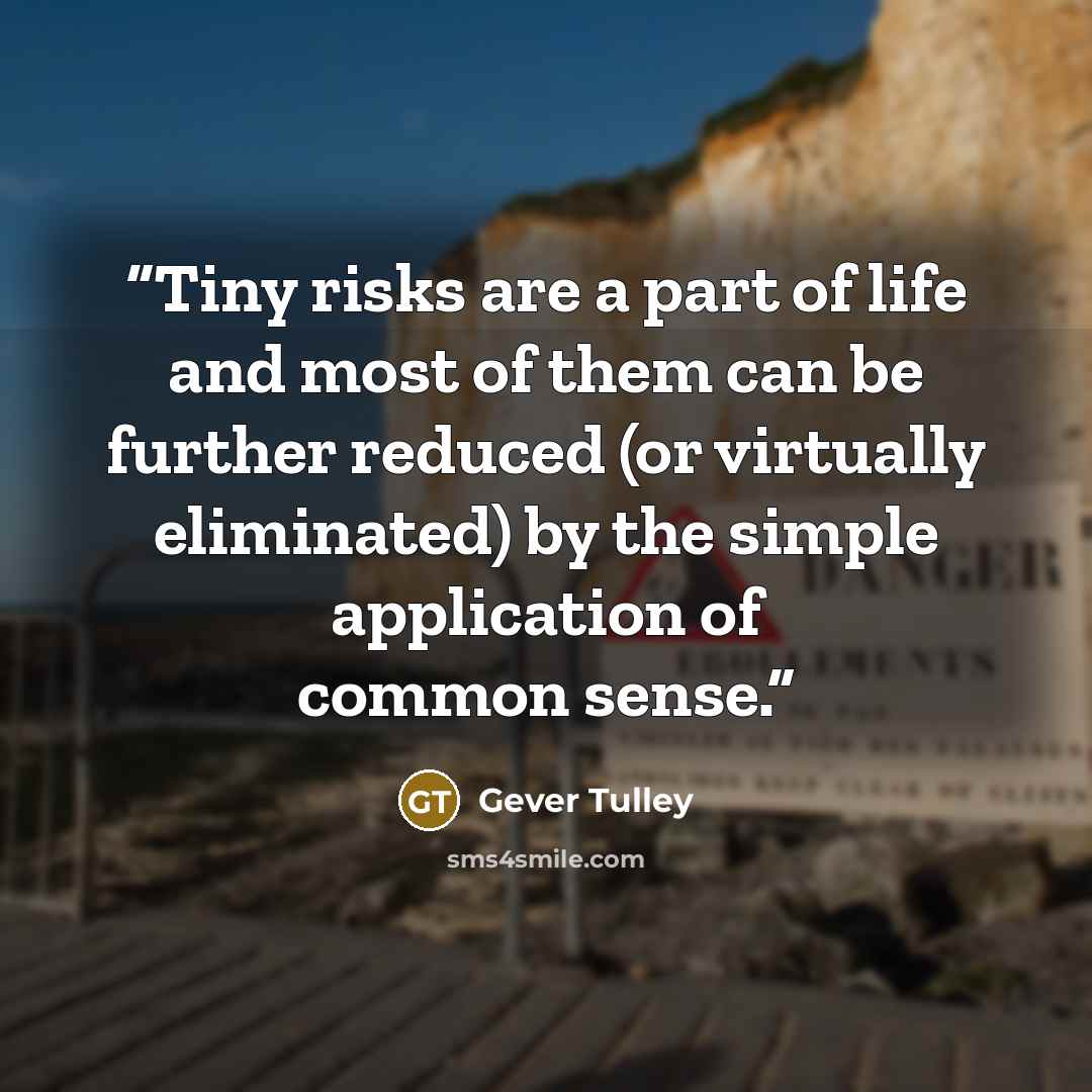 “Tiny risks are a part of life and most of them can be further reduced (or virtually eliminated) by the simple application of common sense.” quote by Gever Tulley