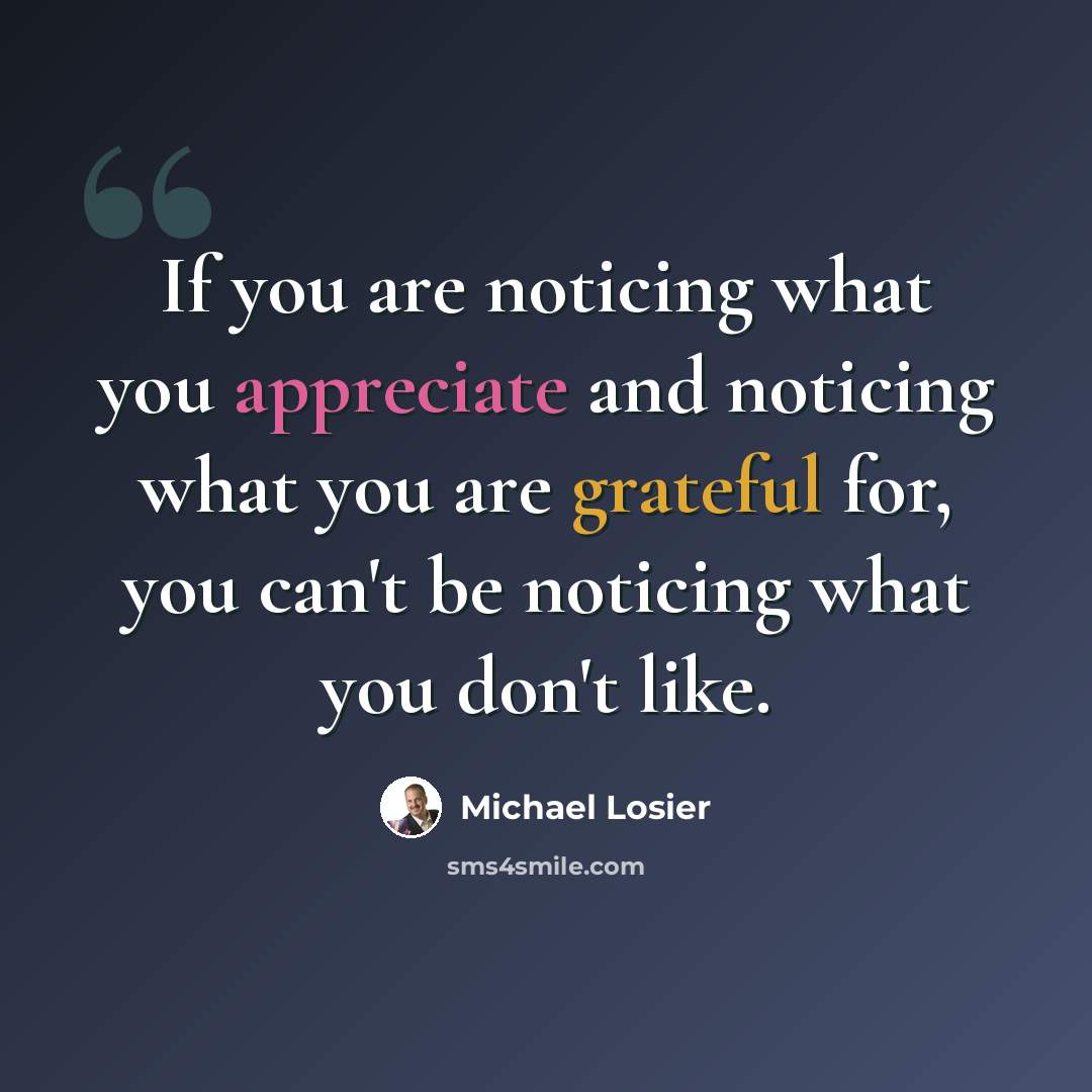 “If you are noticing what you appreciate and noticing what you are grateful for, you can't be noticing what you don't like.” quote by Michael Losier