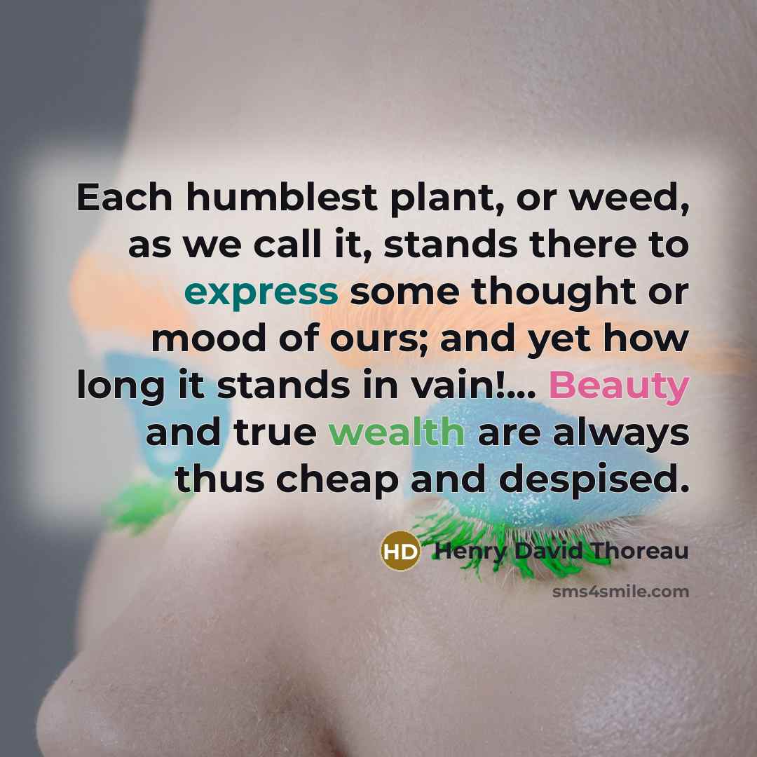 “Each humblest plant, or weed, as we call it, stands there to express some thought or mood of ours; and yet how long it stands in vain!... Beauty and true wealth are always thus cheap and despised.” quote by Henry David Thoreau