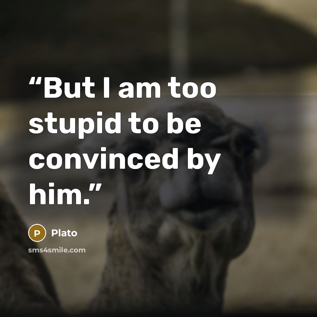 “But I am too stupid to be convinced by him.” quote by Plato