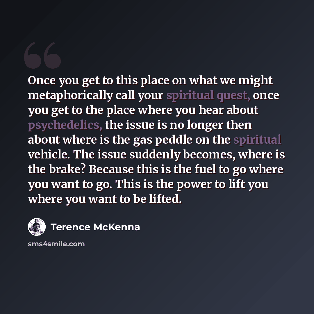 “Once you get to this place on what we might metaphorically call your spiritual quest, once you get to the place where you hear about psychedelics, the issue is no longer then about where is the gas peddle on the spiritual vehicle. The issue suddenly becomes, where is the brake? Because this is the…” quote by Terence McKenna