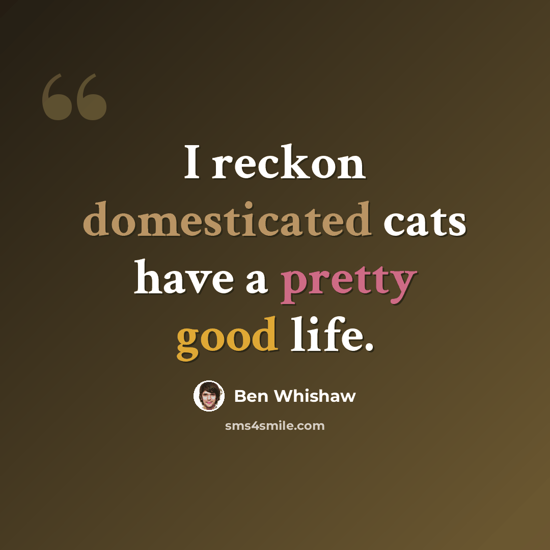 “I reckon domesticated cats have a pretty good life.” quote by Ben Whishaw