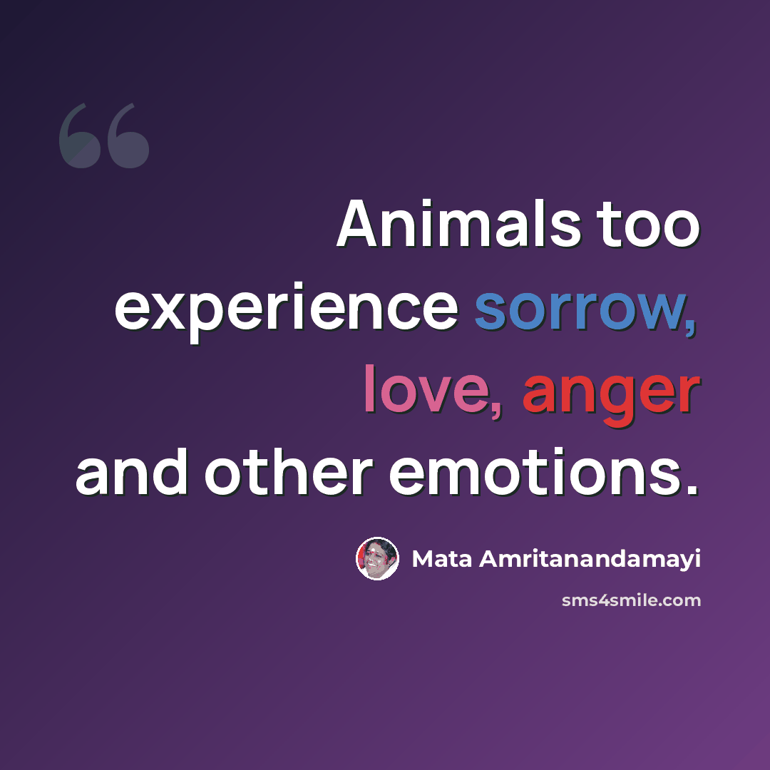 “Animals too experience sorrow, love, anger and other emotions.” quote by Mata Amritanandamayi